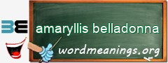 WordMeaning blackboard for amaryllis belladonna